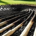 Carbon Sink, Solusi Alam atau Pelarian?
