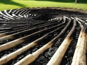Carbon Sink, Solusi Alam atau Pelarian?