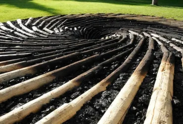 Carbon Sink, Solusi Alam atau Pelarian?