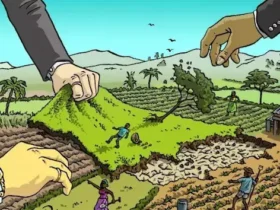 Ini Bedanya Krisis Iklim dengan Krisis Lingkungan