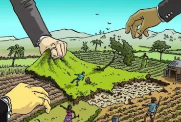 Ini Bedanya Krisis Iklim dengan Krisis Lingkungan