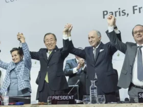 Perjanjian Paris, SDGs, dan realita di lapangan