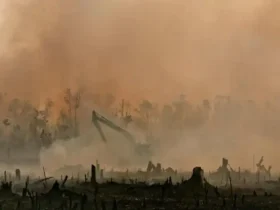 Kebakaran hutan dan lahan menghasilkan asap tebal di Indonesia