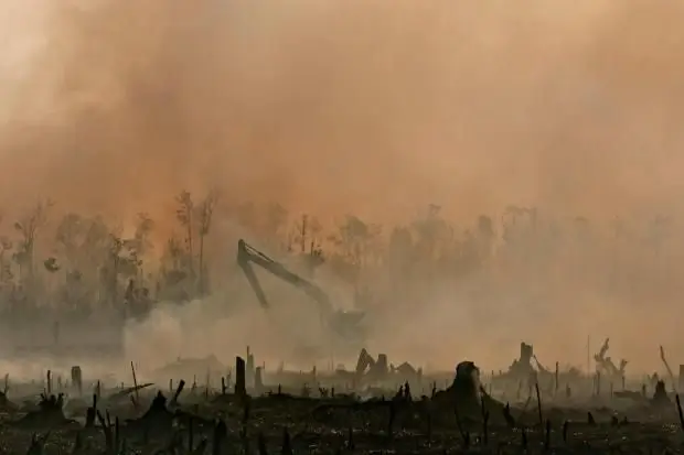 Kebakaran hutan dan lahan menghasilkan asap tebal di Indonesia