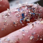 plastik dan kesehatan kita